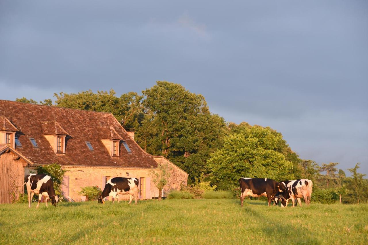 Chambre D'Hotes La Ferme De La Croix. Saint-Avit-Senieur Экстерьер фото