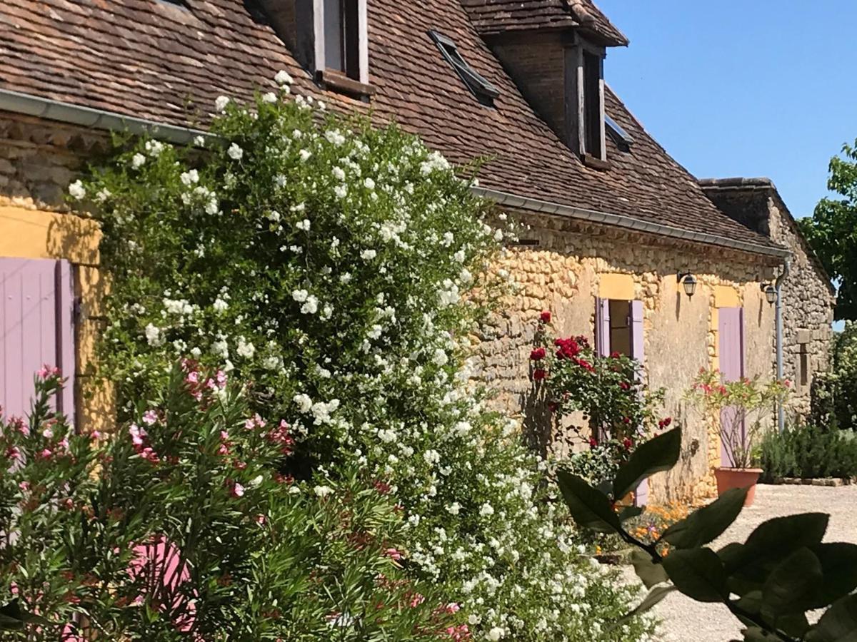 Chambre D'Hotes La Ferme De La Croix. Saint-Avit-Senieur Экстерьер фото